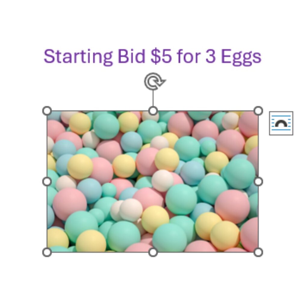 Doorable and More Egg Game $5 Open Bid